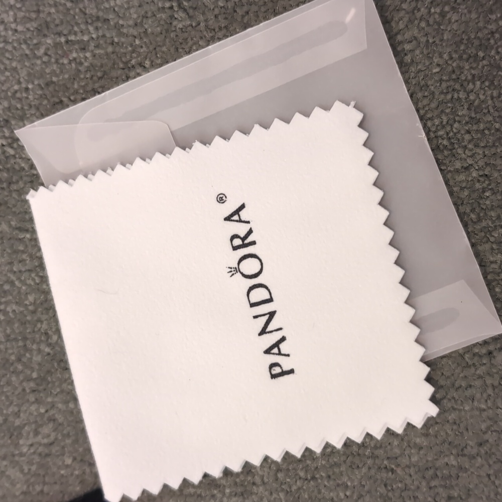 Pandora Cleaning Kit + Polishing Cloth - Picture 7 of 14